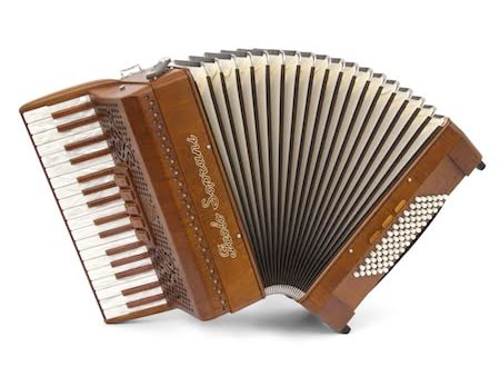 Small accordion for deals sale