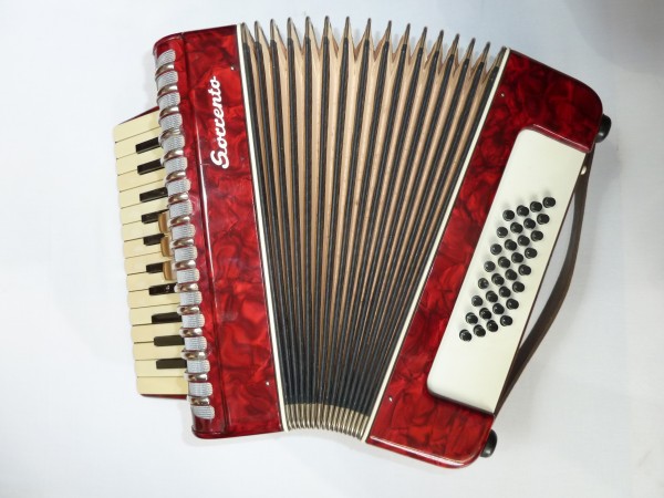 P1100382 - The Accordion Shop